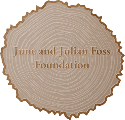 9 inch diameter donor medallion